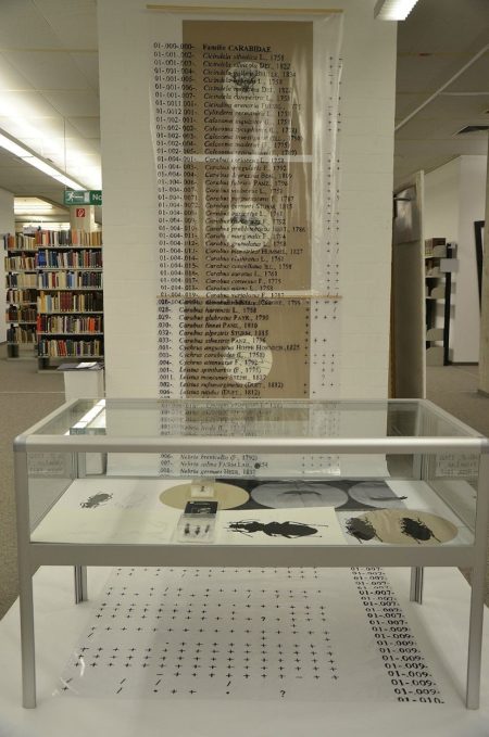 Abb. 3: Präsentationen der Universität Bielefeld, Fakultät für Linguistik und Literaturwissenschaft.