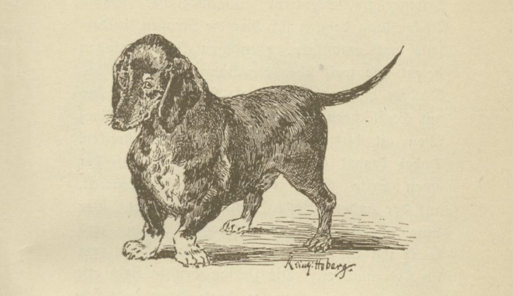Abb. 1: Erste Illustration der Erstausgabe von Panizzas Aus dem Tagebuch eines Hundes, S. 5, von Reinhold Hoberg.